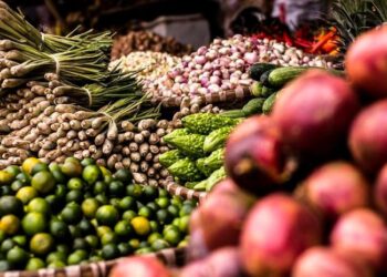 محسن سرحان: ثلث الطعام في العالم يتم هدره.. ويتسبب في تداعيات سلبية على المستوى الدولي