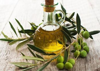 حازم المنوفي  توقعات بانهيار أسعار زيت الزيتون إلى النصف خلال الأشهر المقبلة