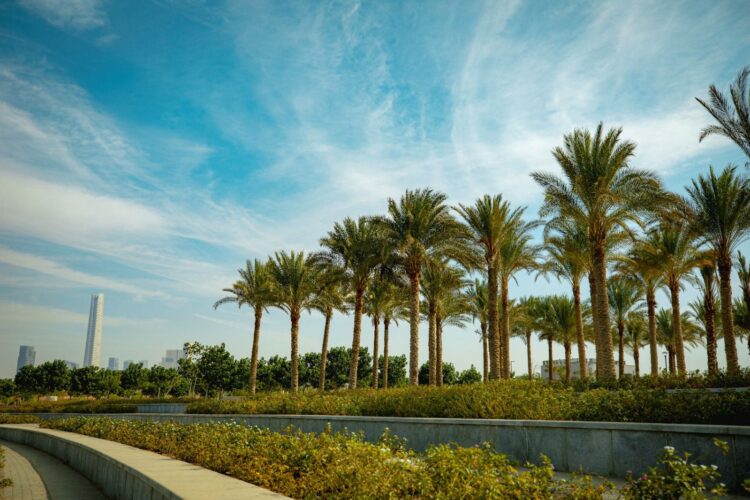 جودة الهواء في العاصمة الإدارية الجديدة ضعف معدلات الأمان المسموح بها عالمياً