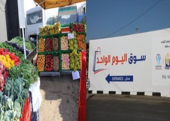 شادي الكومي: أسواق اليوم الواحد حققت النتائج المرجوة بتخفيف العبء عن المواطنين وضبط الأسعار