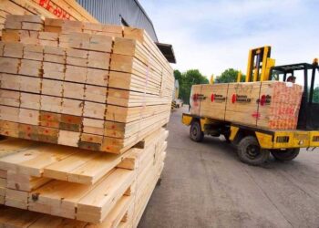 نصر الدين: علي الحكومة ضم قطاع الاخشاب والأثاث لمبادرة ال30 مليار جنيه