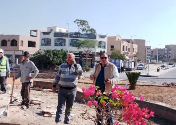 جهاز مدينة الشروق يشن حملة لإزالة الإشغالات ويواصل أعمال التطوير