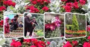IMG 20250517 WA0052
