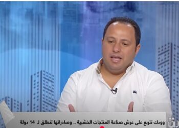 م.فادي نبيل عدلي نائب رئيس شركة التجهيزات الخشبية woodek: مصر فى حاجة لتكرار تجربة نجاح القطاع العقاري فى الصناعة