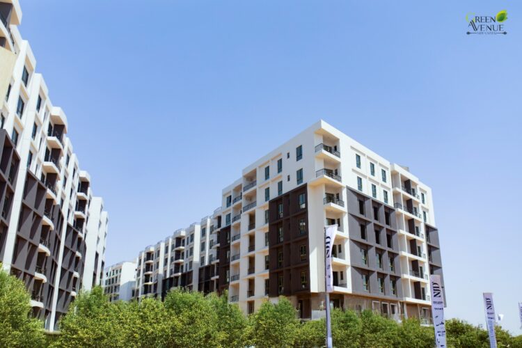 «نيو جيرسي للتطوير» تنجح في تسليم المرحلة الثالثة بمشروع «جرين أفنيو» لتعزز التزامها تجاه عملائها 1 «نيو جيرسي للتطوير» تنجح في تسليم المرحلة الثالثة بمشروع «جرين أفنيو» لتعزز التزامها تجاه عملائها