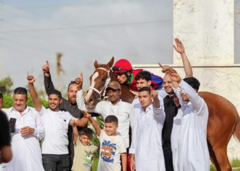 مدرسة ذات الرمال للفروسية في مصراتةرياضة و تراث و تدريب 5 مدرسة ذات الرمال للفروسية في مصراتةرياضة و تراث و تدريب