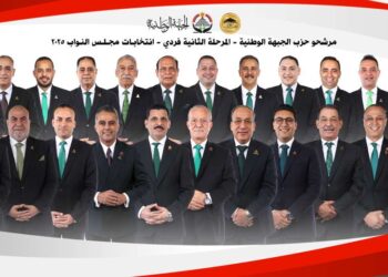 د.عاصم الجزار: الجبهة الوطنية لديه 45 مرشح على المقاعد الفردية ندعمهم بقوة.. وتم فصل غير الملتزمين حزبيا