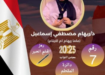 ريهام مصطفى تخوض انتخابات المقطم والخلفية بشعار: خدمة الناس قبل الكرسي 10 ريهام مصطفى تخوض انتخابات المقطم والخلفية بشعار: خدمة الناس قبل الكرسي