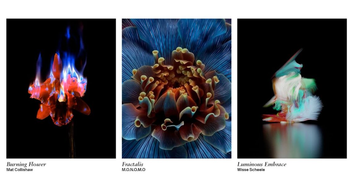 ال جي تتعاون مع منصةSedition  لتقديم أعمال فنية حصرية من خلال خدمة LG Gallary+