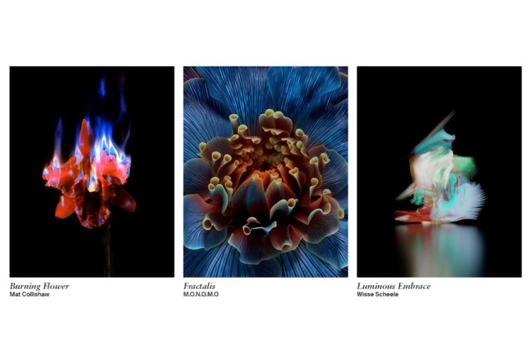 ال جي تتعاون مع منصةSedition  لتقديم أعمال فنية حصرية من خلال خدمة LG Gallary+