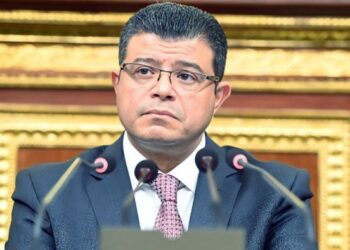 النائب محمد سليمان المرأة المصرية حققت أسطورة نجاح على مر العصور 10 النائب محمد سليمان المرأة المصرية حققت أسطورة نجاح على مر العصور