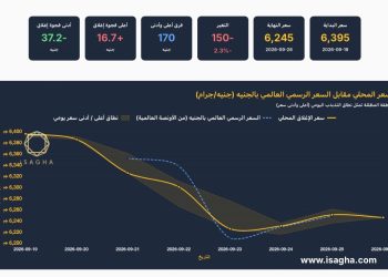 آي صاغة: الذهب يهبط 150 جنيها في مصر و70 دولارا عالميا خلال أسبوع