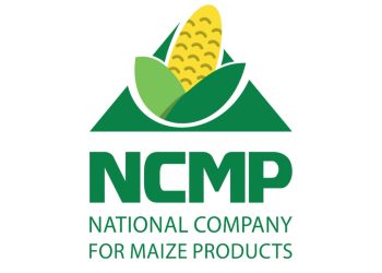 الوطنية لمنتجات الذرة «NCMP» تنجح لأول مرة في تصدير جلوتين الذرة بنسبة بروتين 60% إلى الأسواق الأفريقية